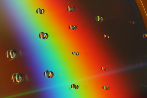 4322155539_7928790406.jpg