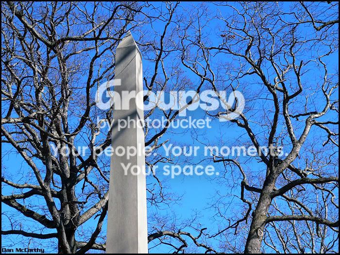 monumenttrees.jpg