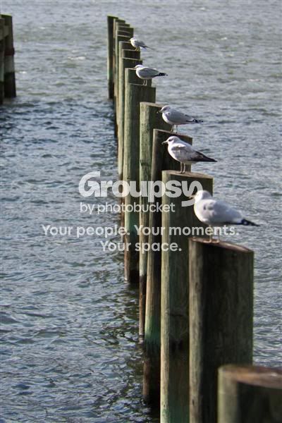 IMG_0497Medium.jpg