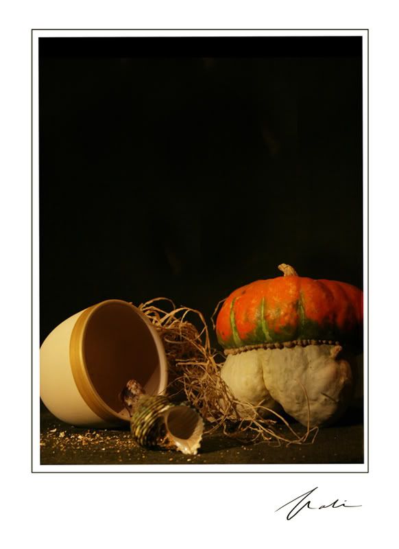 IMG_0896copy.jpg