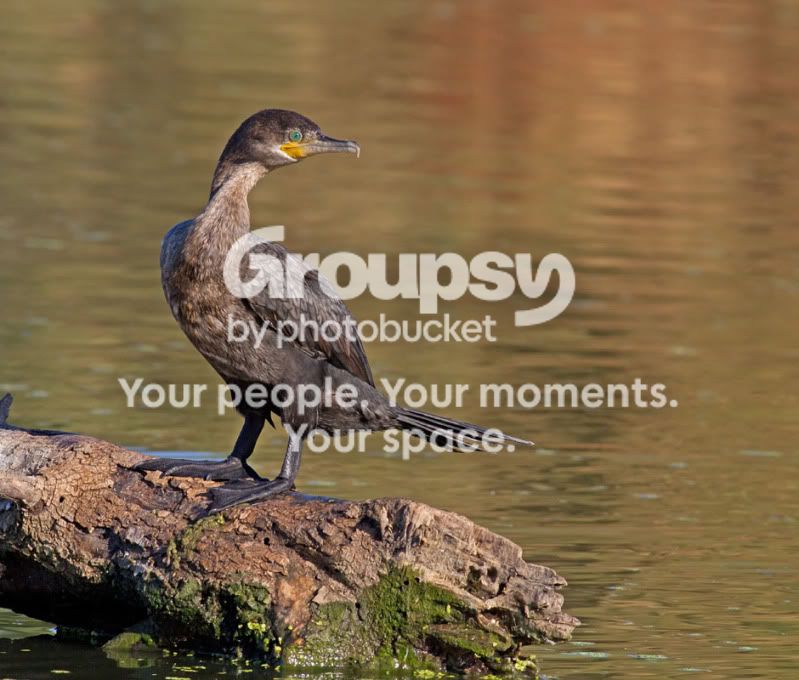 IMG_9702-Edit.jpg