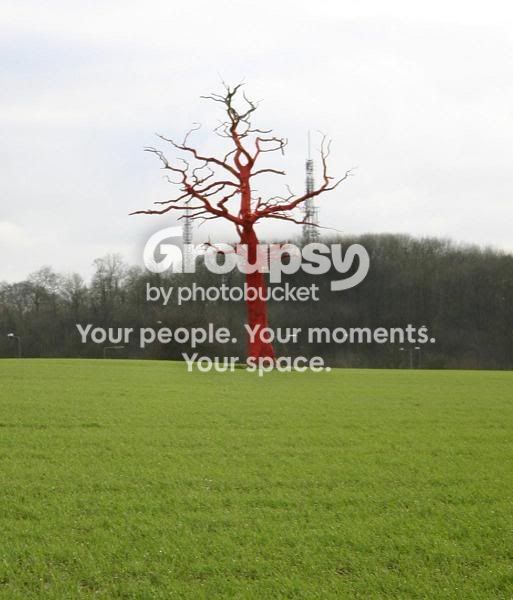 redtree.jpg