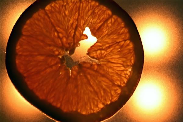 orange01.jpg