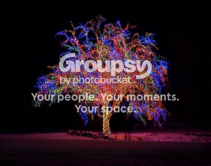 Magictree_filtered.jpg