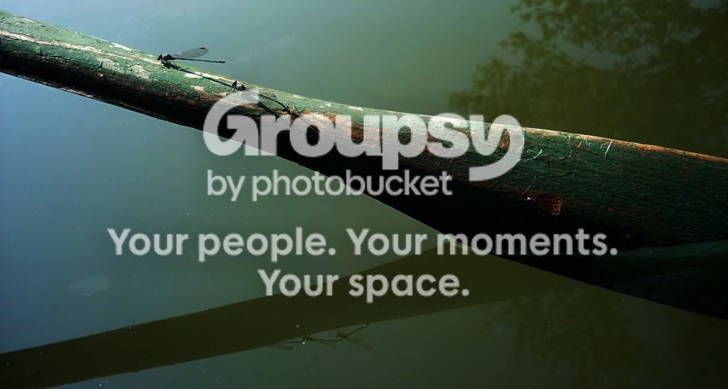 paddle.jpg