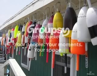 CrabMarkers.jpg