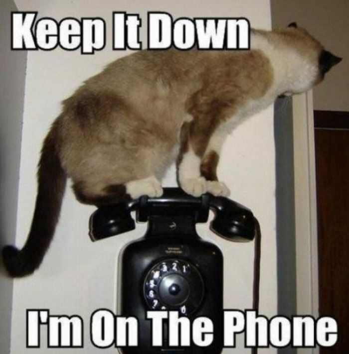 keep_it_down.jpg