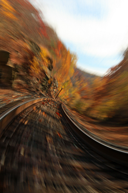10808064535_79bde4e5c3_b.jpg