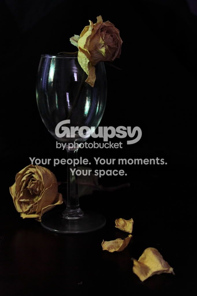 GlassRose.jpg