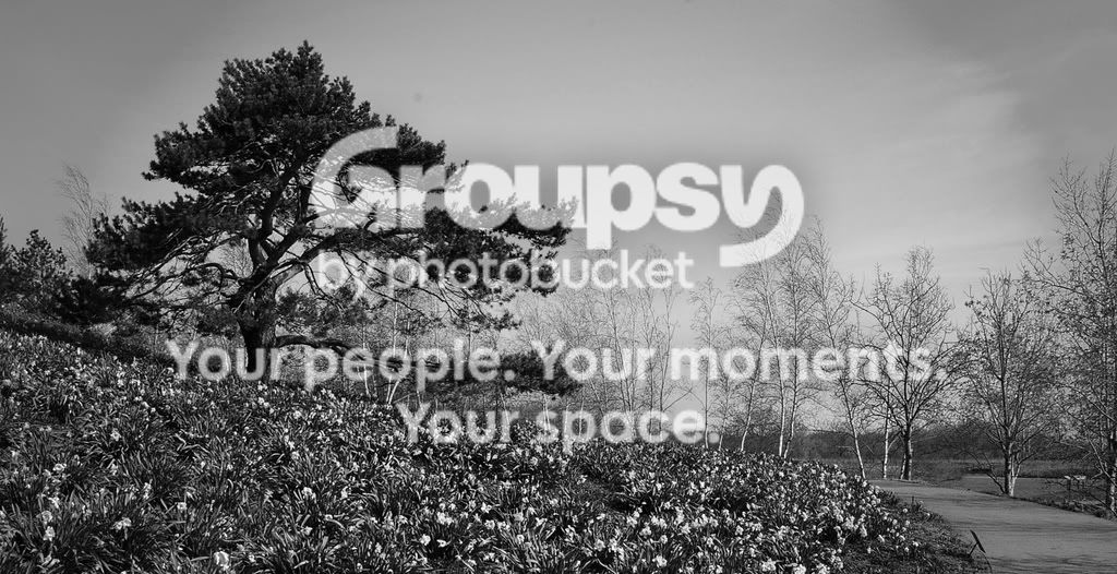 bwIMGP1158a.jpg