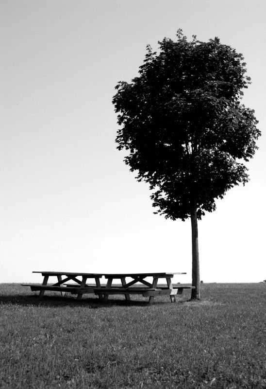 41201497_fece74a385_o.jpg