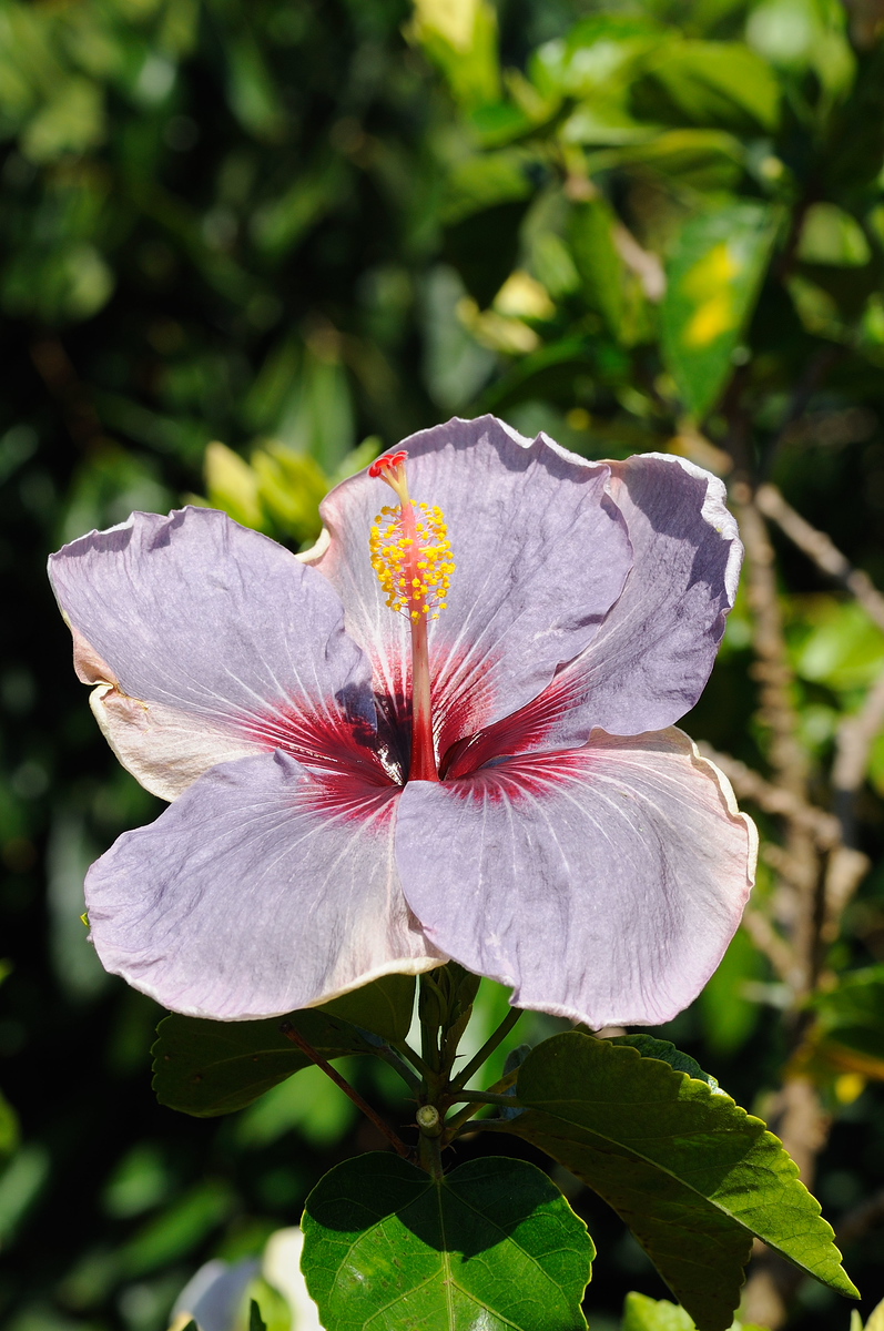 DSC_0041-X3.jpg