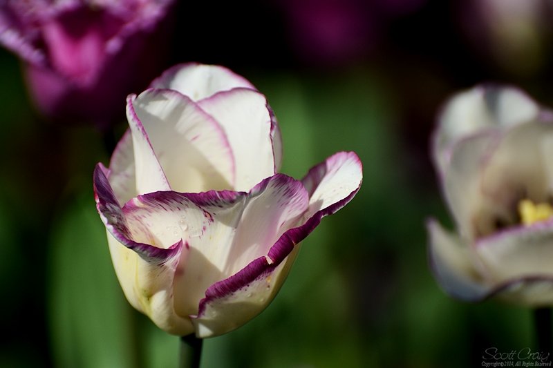 2014-04-12-14.jpg