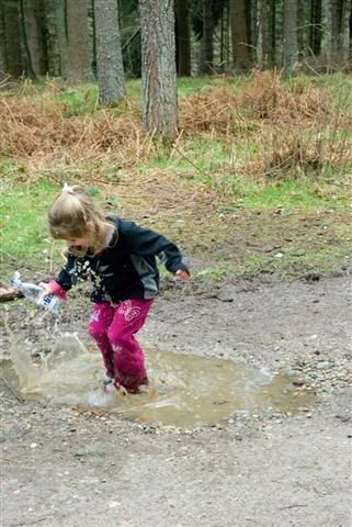 2ndPuddleJump6LargeSmall.jpg