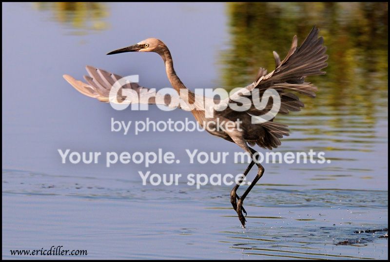 PIC_8788copycopy.jpg