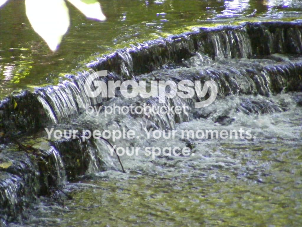 DSCF2395.jpg