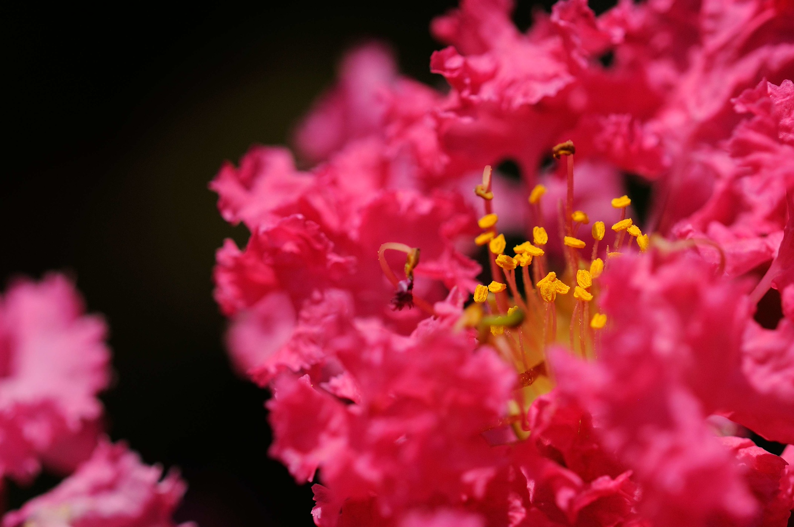 DSC_00069-X3.jpg