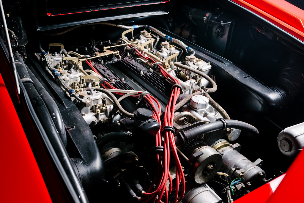 DSC_7191-XL.jpg