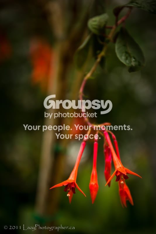 Greenhouse-38-EDITED.jpg
