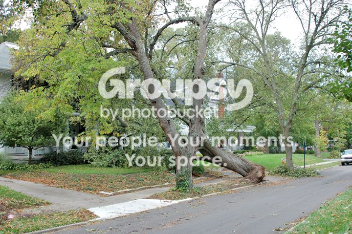 Oakwood005.jpg