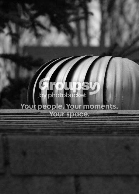 blackandwhite044.jpg