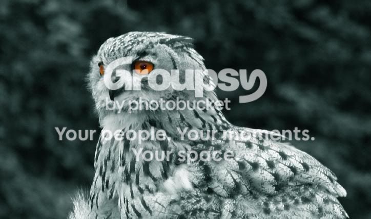 IMG_0397copy.jpg