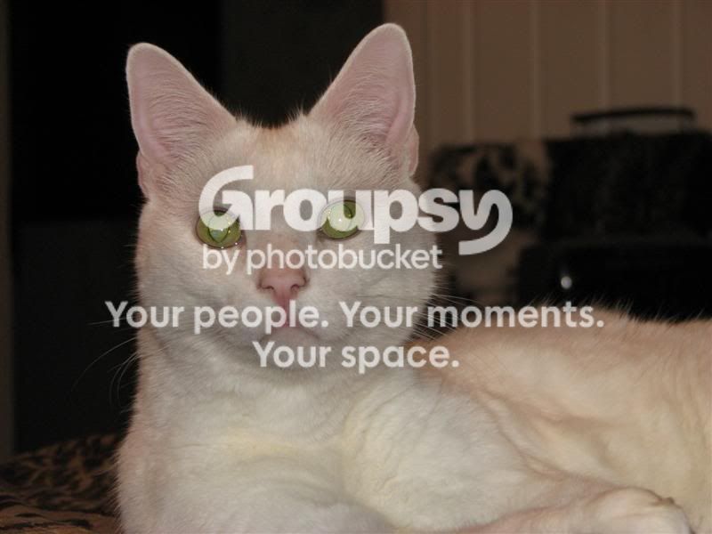 IMG_0324Medium.jpg
