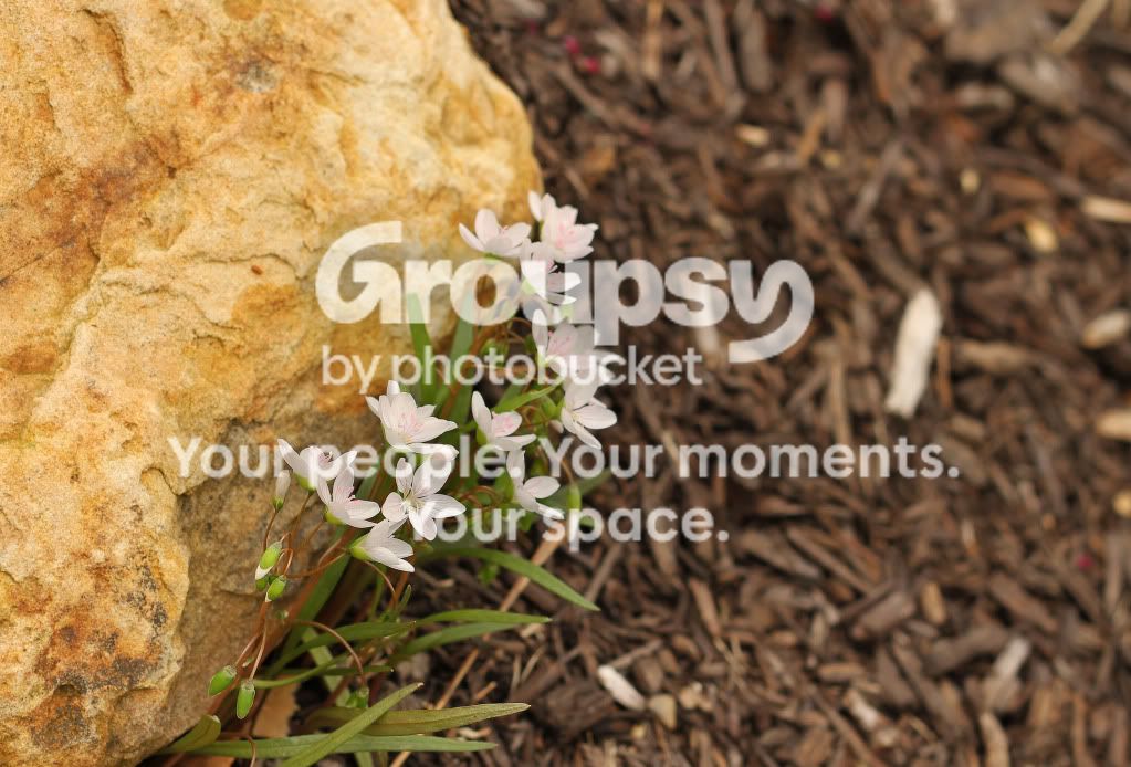 IMG_9107ps.jpg