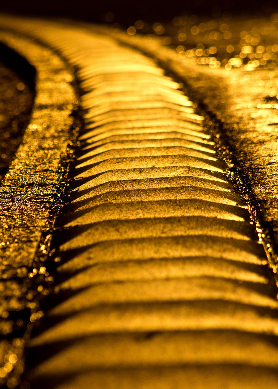 golden_walkways_by_pianoblack97-d48n7k1.jpg