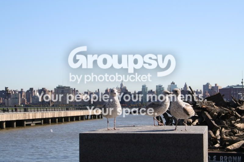 hoboken042.jpg
