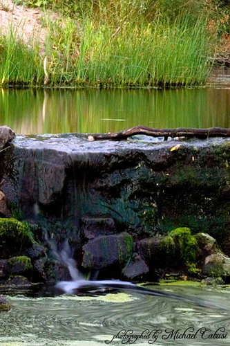 2740052469_1edbe80a1e.jpg