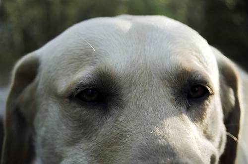 123982778_36d1f139fd.jpg