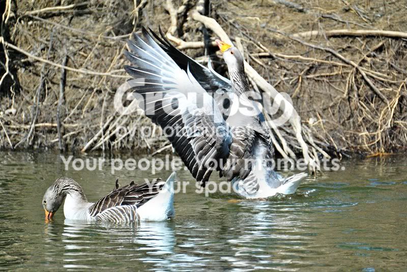 DSC_00482.jpg
