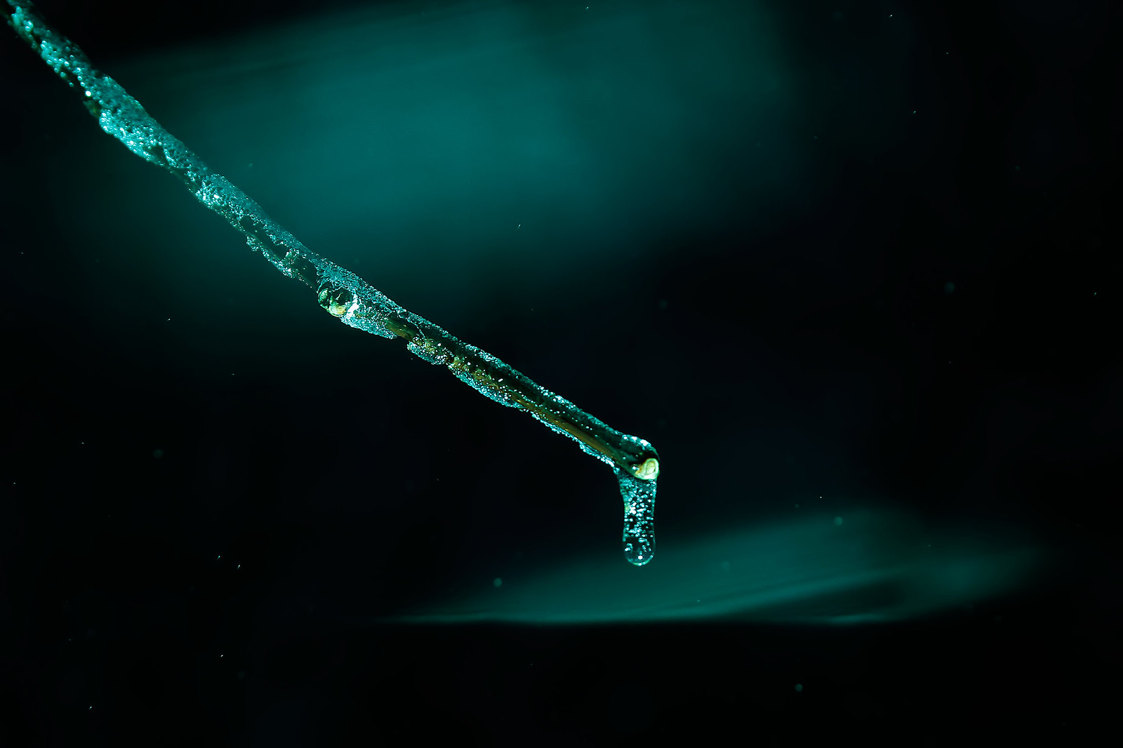 8263437744_2c8153b39b_h.jpg