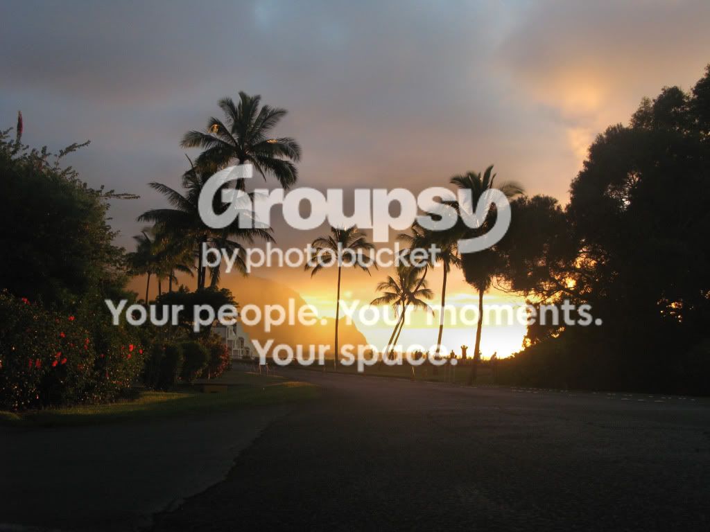 SunsetFinal-1.jpg
