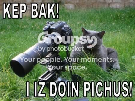 lolcatsdotcom476hs3nlcv3pish6.jpg