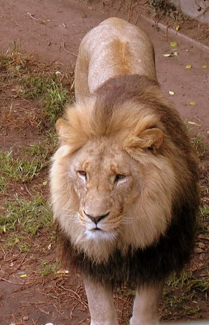 DSCN13311.jpg