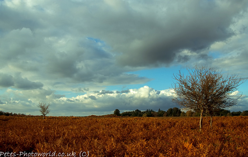101003_P_SLID036.jpg