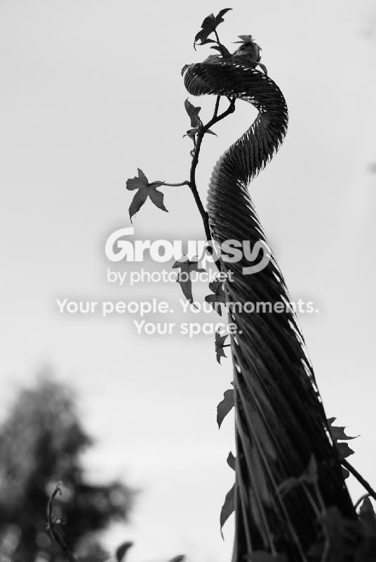 flower018small.jpg