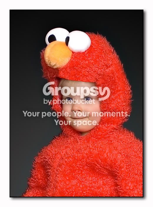IMGP8498web.jpg