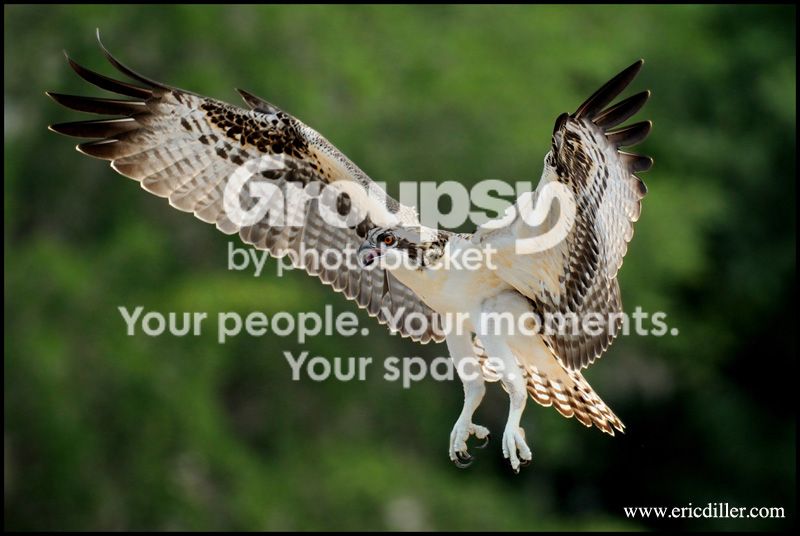 PIC_6559copy.jpg