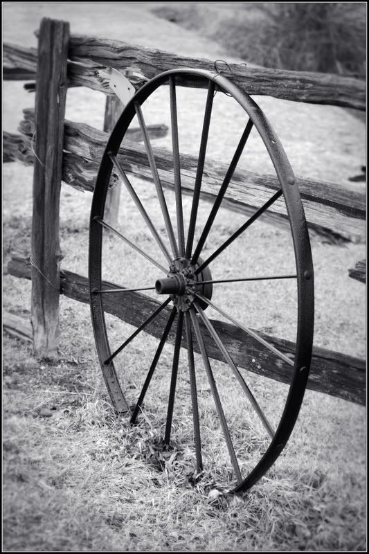 wheelspokes.jpg