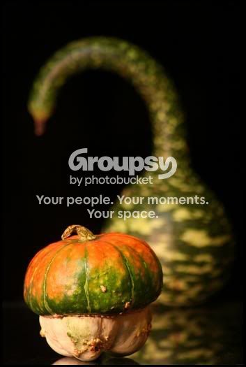 squash2.jpg