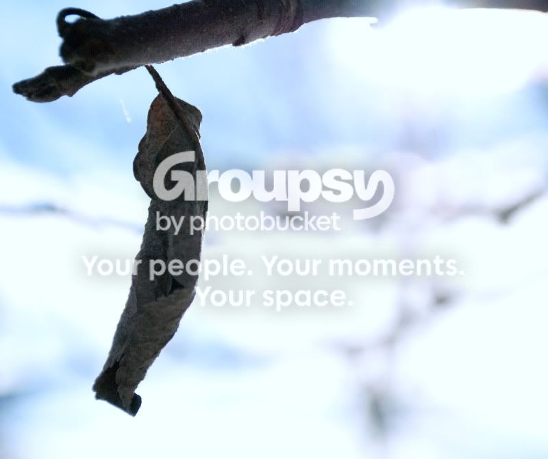 hangingon.jpg