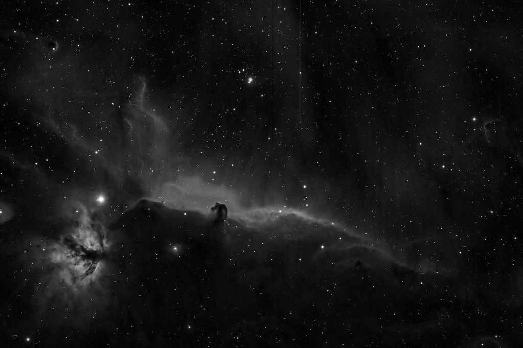 horseheadL-XL.jpg