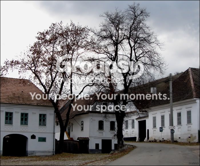 POZA7-N.jpg