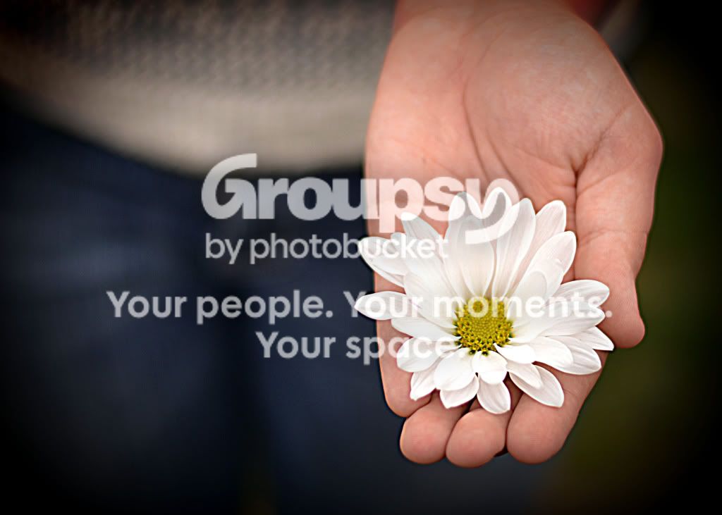flower1.jpg