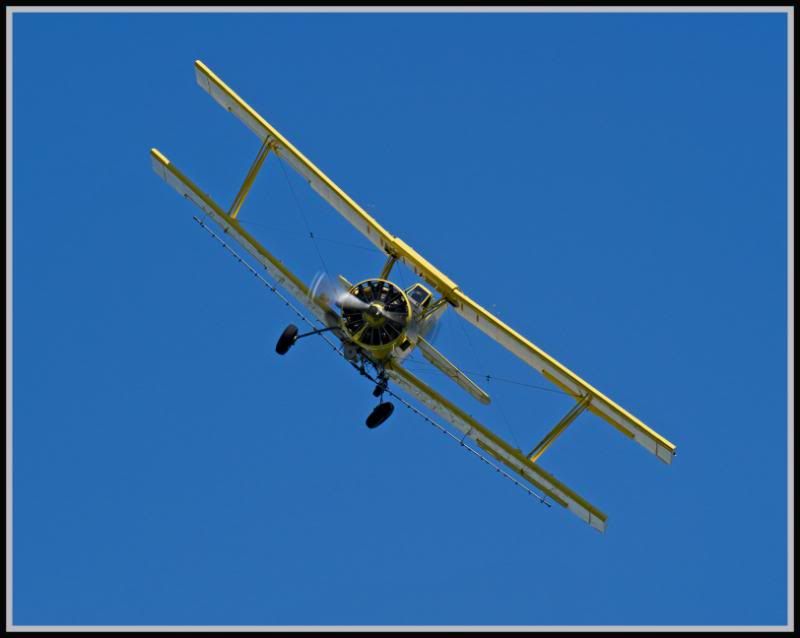 AgCatPilot_edited-1.jpg