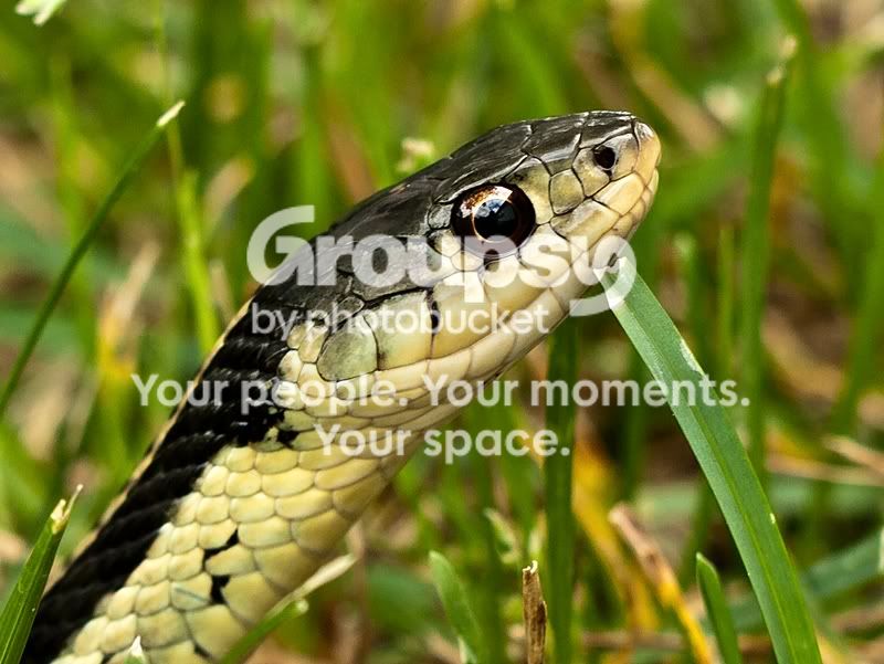 crop-3sm.jpg