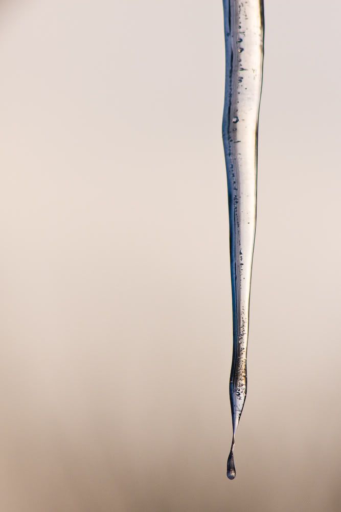 20110131-IMG_3292.jpg